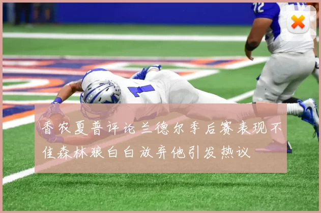 香农夏普评论兰德尔季后赛表现不佳森林狼白白放弃他引发热议